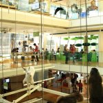 MUSE - Museo di Storia naturale di Trento: particolare del grande vuoto | Foto F. Andreone 